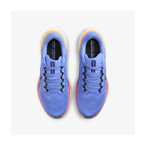 Nike Pegasus 41