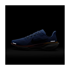 Nike Pegasus 41